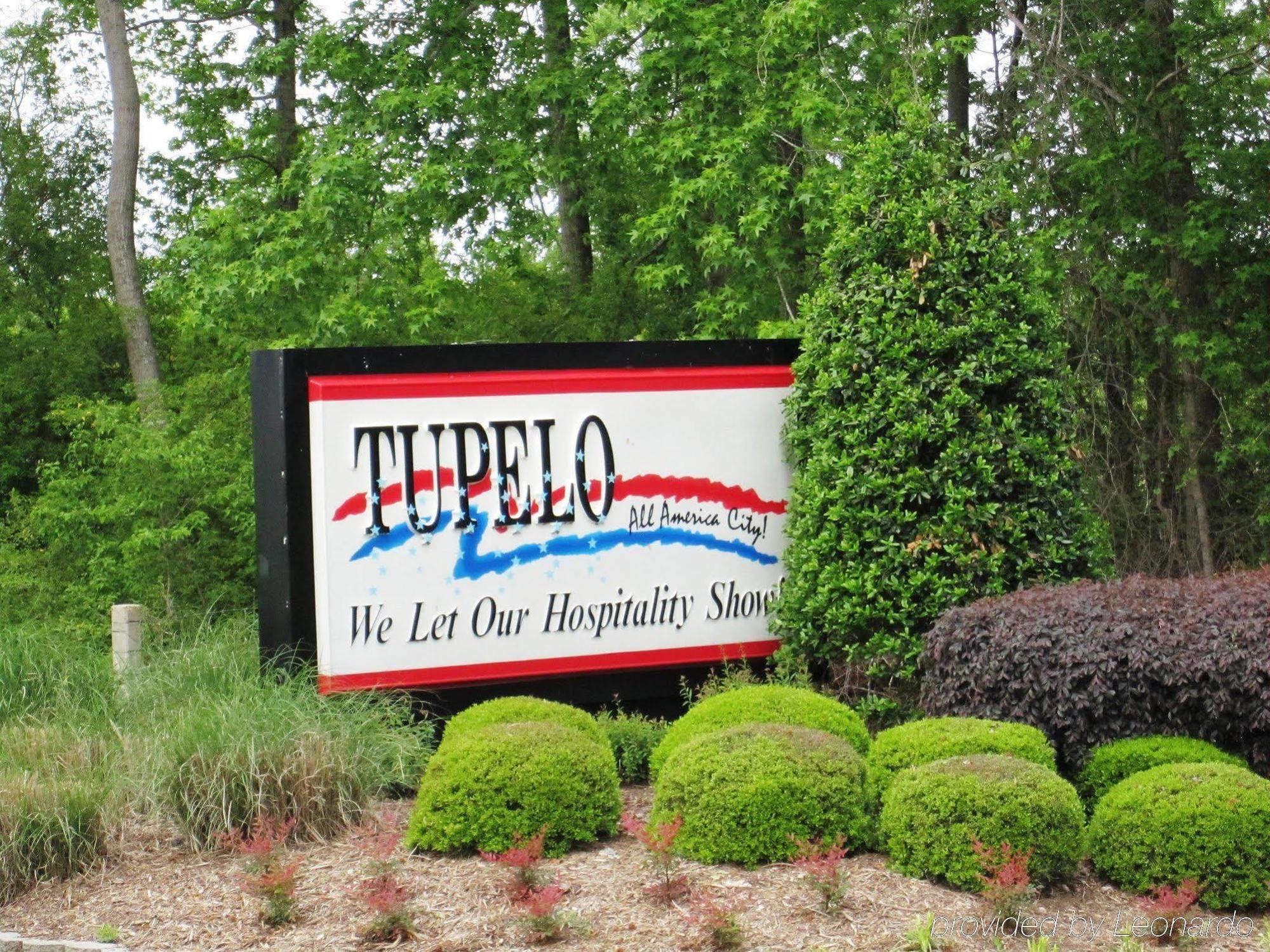 Hampton Inn & Suites Tupelo/Barnes Crossing Buitenkant foto